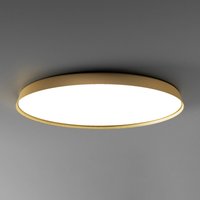 Luceplan Compendium Plate LED-Deckenlampe, messing
