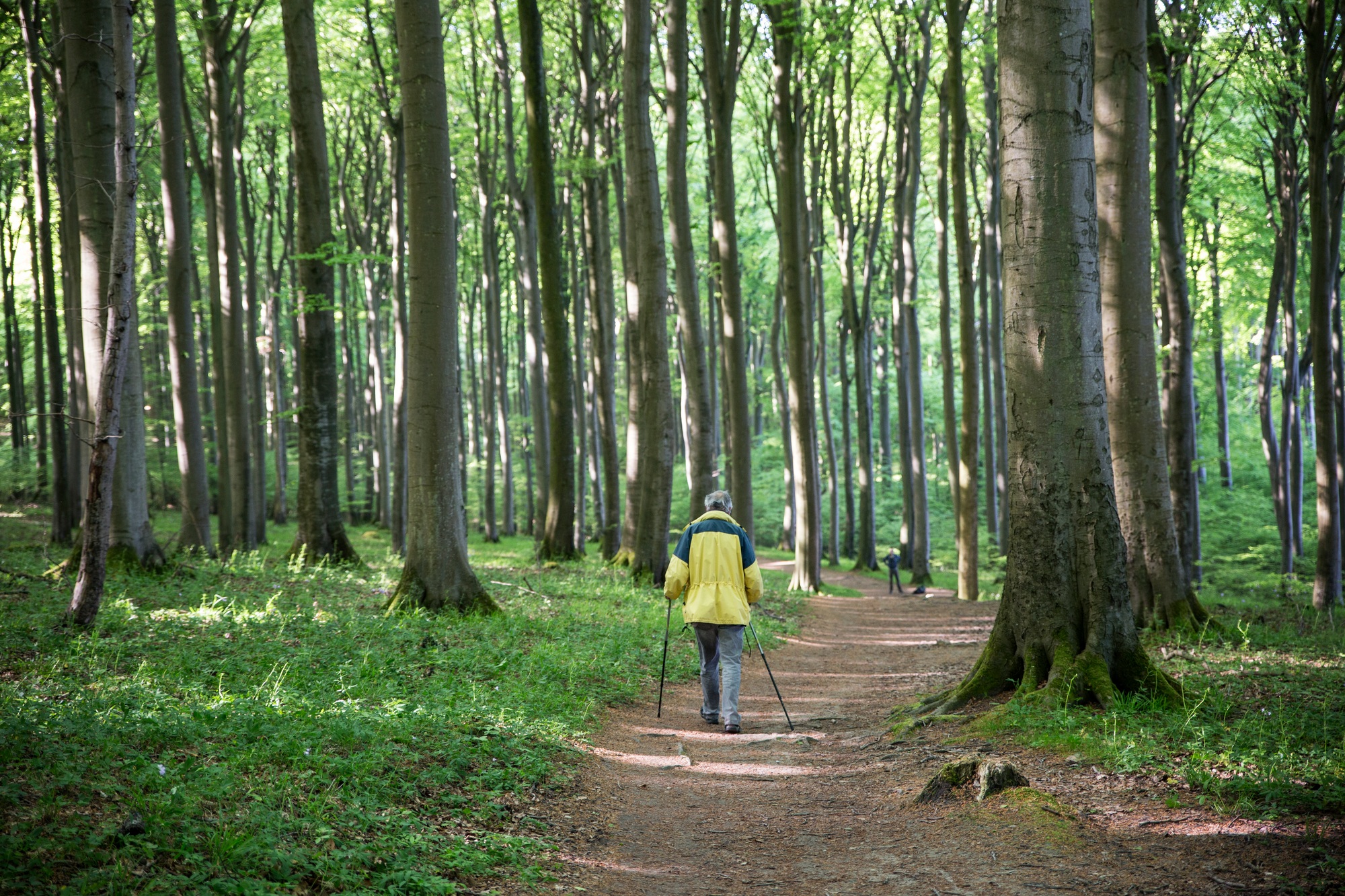 Schleiden und der Eifel Nationalpark als Tor zur Natur
